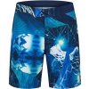 Speedo Pánske plavky 8088098770 M