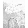 ZUTY Bodkovanie - PIVÓNIE V KOŠÍKU NA BICYKLI Rámovanie: vypnuté plátno na rám, Rozmer: 40x50 cm