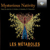 Mysterious Nativity - Christmas music for choir by Georgy Sviridov, Arvo Part, Dimitri Tchesnokov, Vytautas Miskinis, Alfred Schnittke / Lés Metaboles (CD) (BRILLIANT CLASSICS)