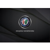 Alfa Romeo servisná kniha PREMIUM, 16 prehľadov