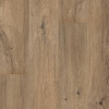 Floorify XL Planks F102 Teddy Bear 2,4 m²