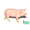 Atlas B - Figurka Prase 9 cm