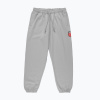 Pánske nohavice PROSTO Big Shield gray