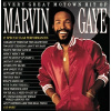 Gaye, Marvin - Every Great Motown Hit of Marvin Gaye: 15 Spectacular Performances LP (Gaye Marvin • Every Great Motown Hit (LP))