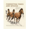 Forgotten times and spaces - Sandra Sázelová; Martin Novák; Alena Mizerová