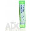 Echinacea Angustifolia gra.1 x 4 g 5CH