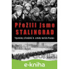 E-kniha Přežili jsme Stalingrad - Reinhold Busch