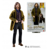 Mattel HP HARRY POTTER A TAJEMNÁ KOMNATA SIRIUS BLACK