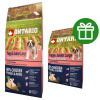 ONTARIO Puppy & Junior Large Chicken & Potatoes & Herbs 12 kg