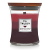 Woodwick - Trilogy Sun Ripened Berries váza stredná 275 g