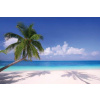 Vliesové fototapety Paradise XL-168 (Fototapeta 330 x 220 cm)