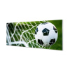 Fotografická grafika Canvas Stroke Gate Ball 125x50 (Fotografický obrázok pre stenu plexisklu. Futbal 125x50 cm)