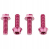 Wolf Tooth Skrutky M5x15 mm 4 ks pre košíky ružová
