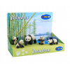 KRABIČKA - PANDÍ RODINKA