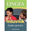 Mluvník česko - polský