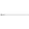 Philips MASTER LEDtube 1500mm UE 17.6W 865 T8 EELA