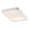 PAULMANN LED nábytkové přisazené svítidlo Vane hranaté sada 2ks vč.LED modulu 2x6,7W, 2x440 lm, 2700K 93583