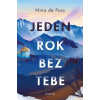 Jeden rok bez tebe - Pass Nina de
