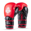 Boxerské rukavice DBX BUSHIDO Warrior RED Velikost: 10oz.