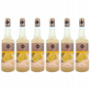 6 x barmanský sirup RIOBA na nápoje LIMONKA 0,7 l