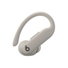 Beats Powerbeats Pro 2/ANC/BT/Quick Sand (MX733EE/A)