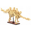 KOCKY CADA SADA KOSTRA MODEL DINOSAURA STEGOSAURUS DINOSAURA FOSSILS 297