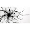 Obraz – Čiernobiely Kvet Abstrakcia – AiArt 16:9