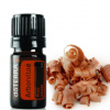 DoTerra Arborvitae olej (Tuja riasnatá) 5 ml