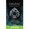 E-kniha Zaklínač: Búrková sezóna - Andrzej Sapkowski, Brian Terrero (ilustrátor), Jakub Šimjak (ilustrátor)