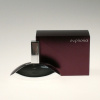 Calvin Klein Euphoria parfémovaná voda dámská 50 ml