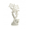biOrb Fan Coral Ornament biely 29 cm