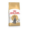 Royal Canin British Shorthair Adult 2 kg