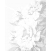 ZUTY Bodkovanie - KVETY RUŽOVÉ PIVÓNIE Rámovanie: vypnuté plátno na rám, Rozmer: 40x50 cm