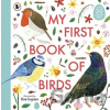 My First Book Of Birds - Zoë Ingram