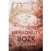 Ukradnutý bozk - L. J. Shen