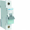 HAGER Jistič 25B/1 MBN125 6kA HAGER