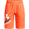 UNDER ARMOUR UA Prototype 2.0 Logo Shorts-ORG - L