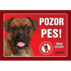 Juko Plastová tabuľa Pozor Pes Boxer 21 x 14,7 cm