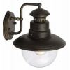 Top Light Florencie D