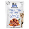 Brit Care Cat Sterilized Fillets in Jelly Hearty Duck & Tender Turkey 85 g