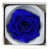 Ruža preparovaná 9cm DARK BLUE /ks