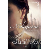 Nebezpečné dedičstvo - Elizabeth Camden