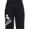 Šortky Under Armour UA Prototype 2.0 Logo Shorts 1361817-001 Veľkosť YMD