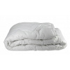 Perina, paplón - Prikrývka gigant 200 x 160 cm (Ľahká prikrývka, mäkká 160x200 -ročný Poľsko)