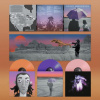 Gruff Rhys American Interior
