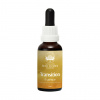 Australian Bush Flower® ESENCIA ZMENA - TRANSITION ESSENCE