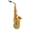 Buffet Crampon 100 Series Alto