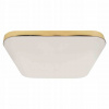 Stropné svietidlo, lampa - EK7792 Milagro Nemo Gold 17W LED PLAFON (EK7792 Milagro Nemo Gold 17W LED PLAFON)