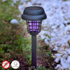 Solárna lampa zapichovacia InnovaGoods čierna 34 cm 1 ks