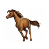 CUKROVÁ TLAČ Opłatek na Tort Cukrová hmota Kôň Koník Horse Brown + MENO